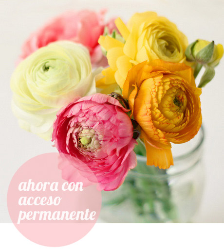acceso