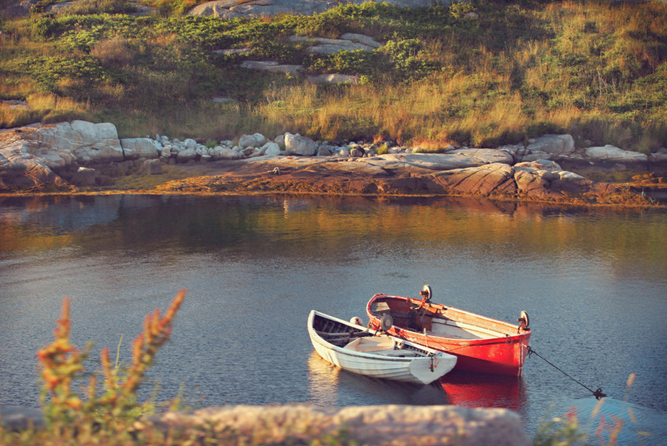 Terranova, Canada