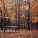 Parc Mont-Royal en Otoño, Montreal