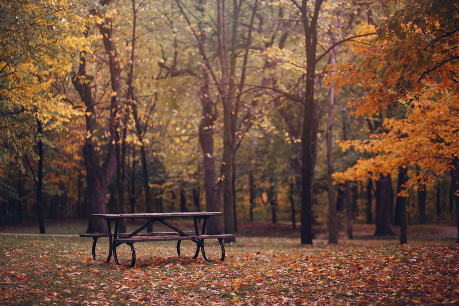 Parc Mont-Royal en Otoño, Montreal