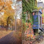 Montreal en otoño