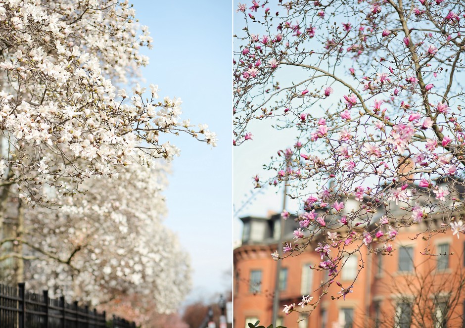 Boston en abril