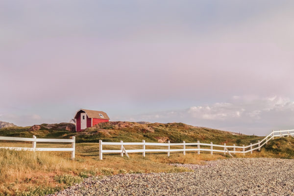 Twillingate, Terranova